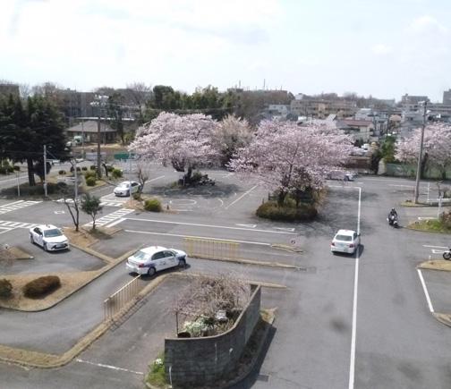 調布自動車学校 公認教習所受付 マルイ エポスカードの通学免許